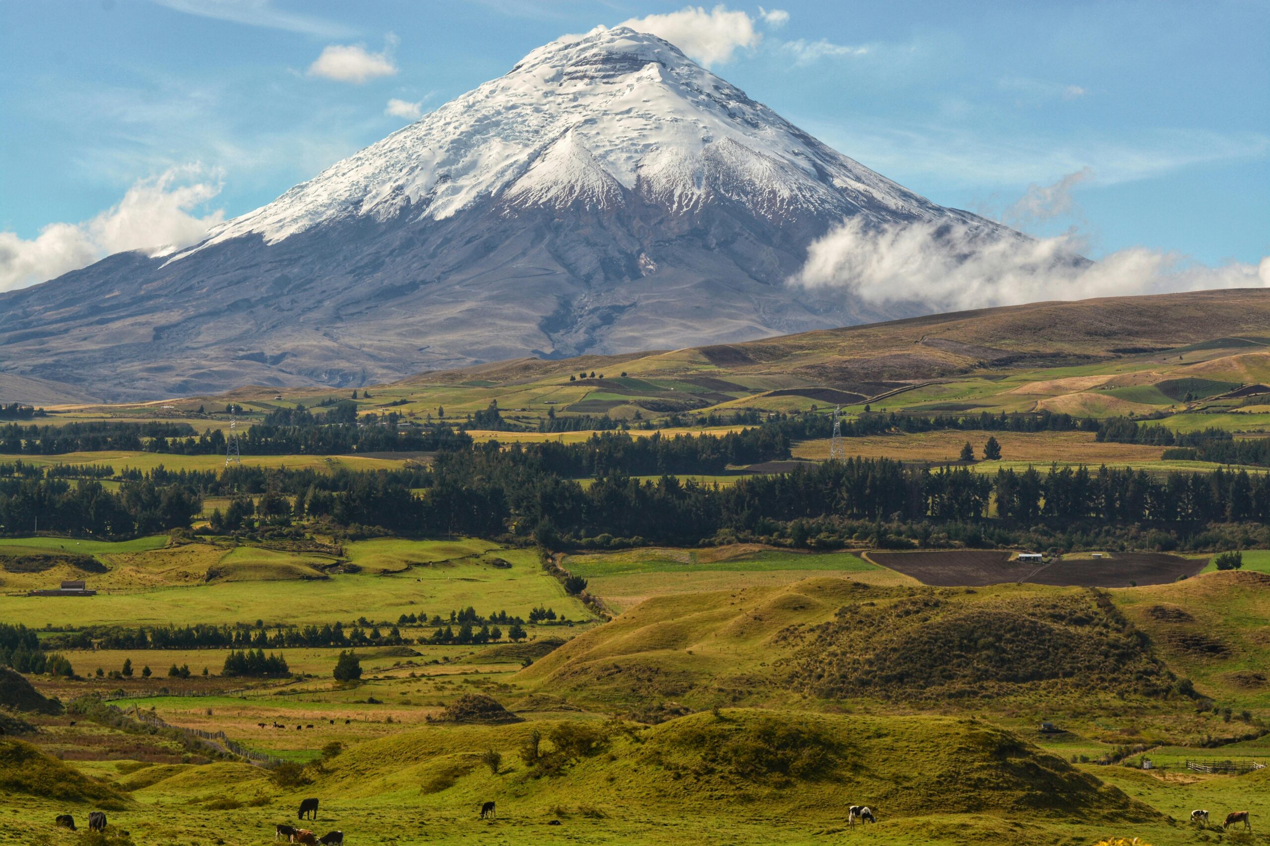 Breathtaking view of Cotopaxi Volcano in Ecuador with lush greenery and blue skies.